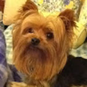 Meet your Posher, Deborah